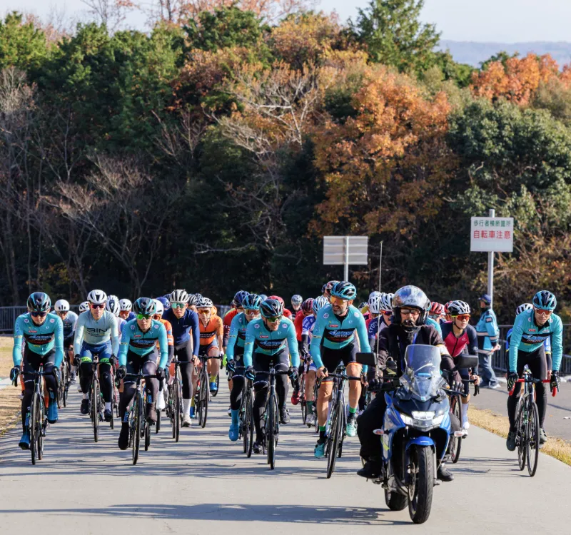 チームマトリックスパワータグのイメージ